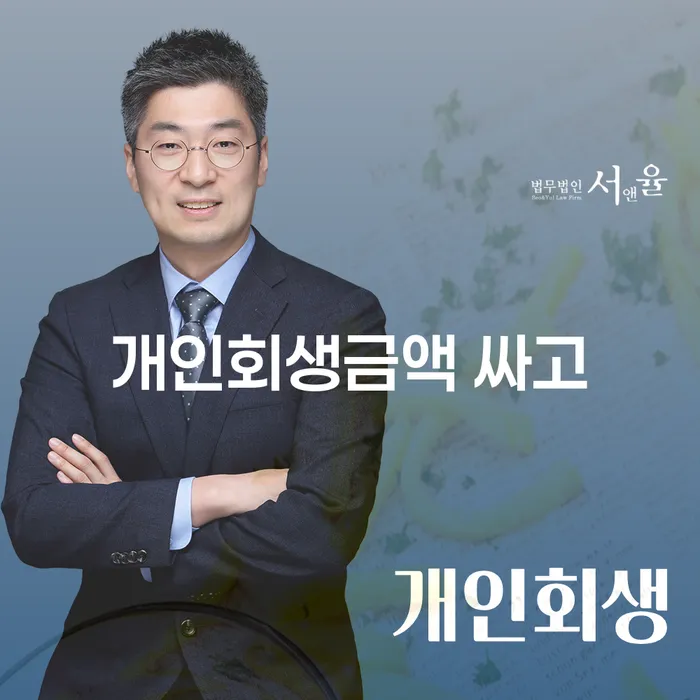 지급명령개인회생 대출 연체 개인회생 어떻게 해야