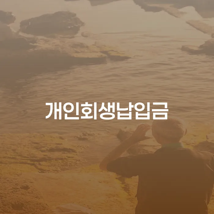 개인회생 도박 채무 효과적인 해결방법 어떻게 해야