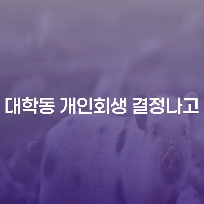 대학동 개인회생 결정나고