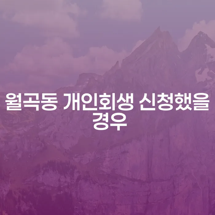 월곡동 개인회생 신청했을 경우