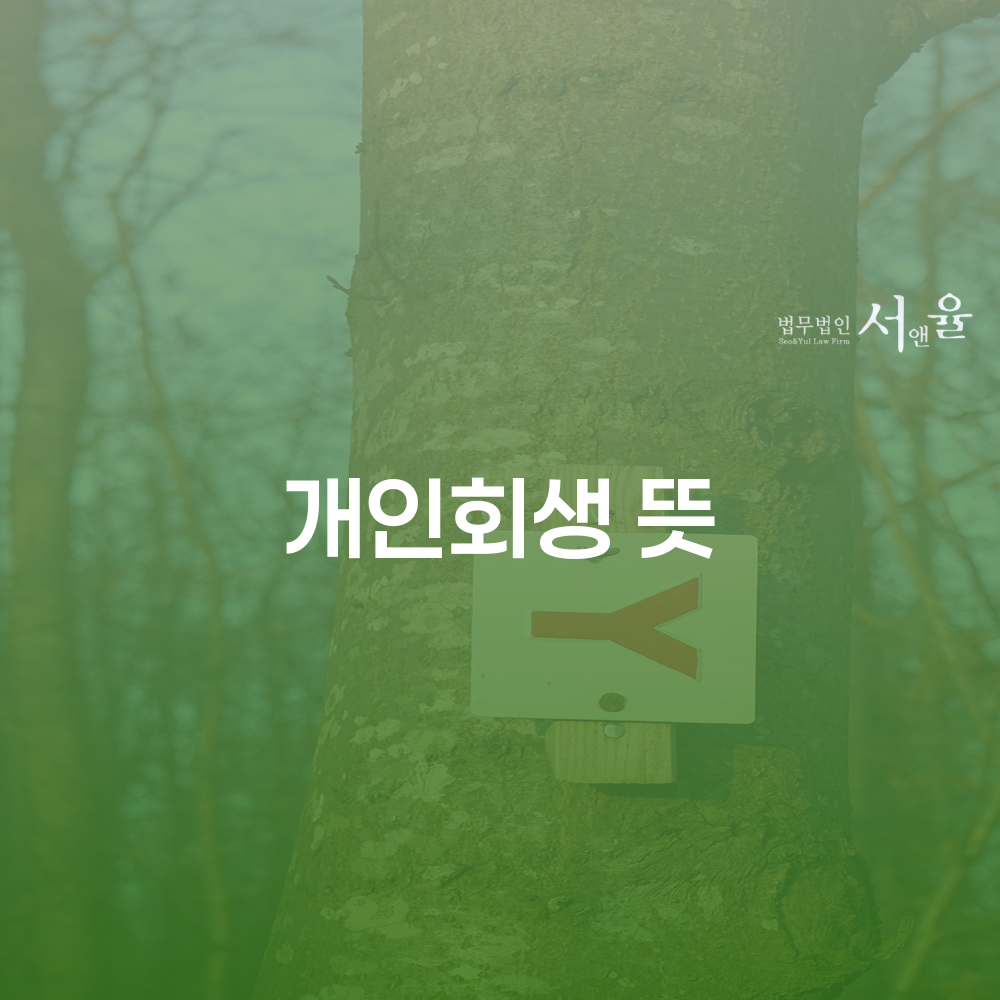개인회생 뜻과 절차에 대한 완벽한 이해