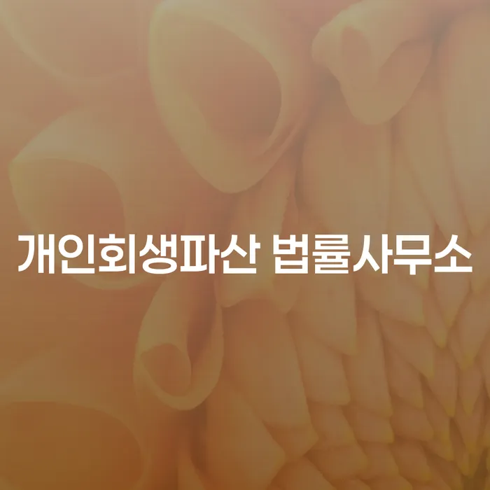 일산동 개인회생파산 법률사무소의 중요성과 절차