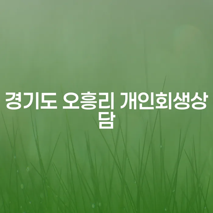 경기도 오흥리에서 개인회생 상담이 필요한 이유는 무엇인가요?