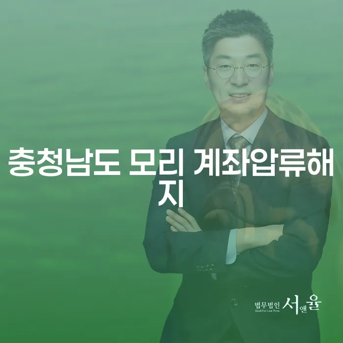 충청남도 모리에서 계좌압류해지, 어떻게 해결할 수 있을까?