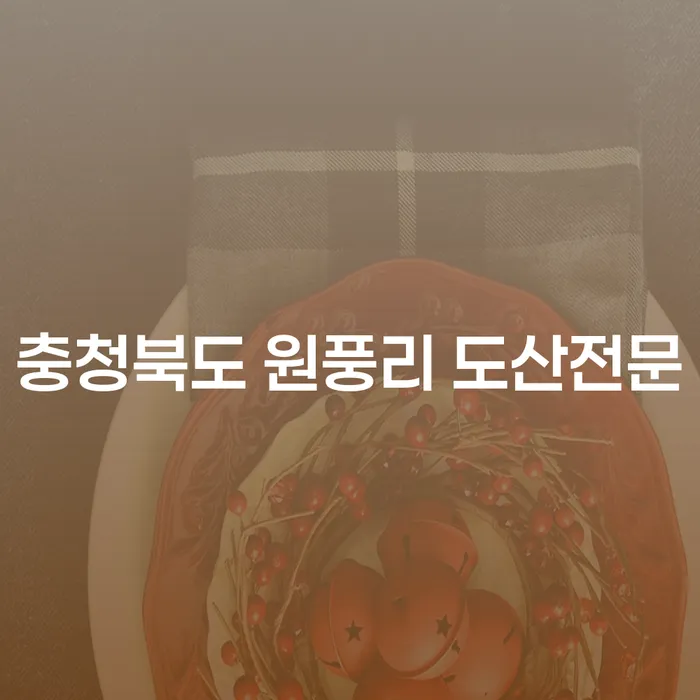 충청북도 원풍리 도산전문 변호사와 함께 하는 개인회생전문 절차 이해하기