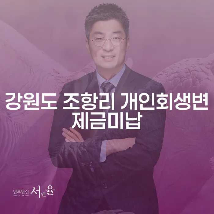 강원도 조항리에서 개인회생변제금 미납, 해결 방법은?