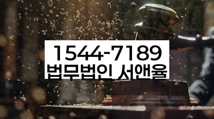 강원도 월호평동 채무감면
